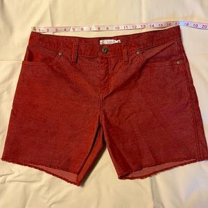 Carve Designs Oahu Shorts size 10.